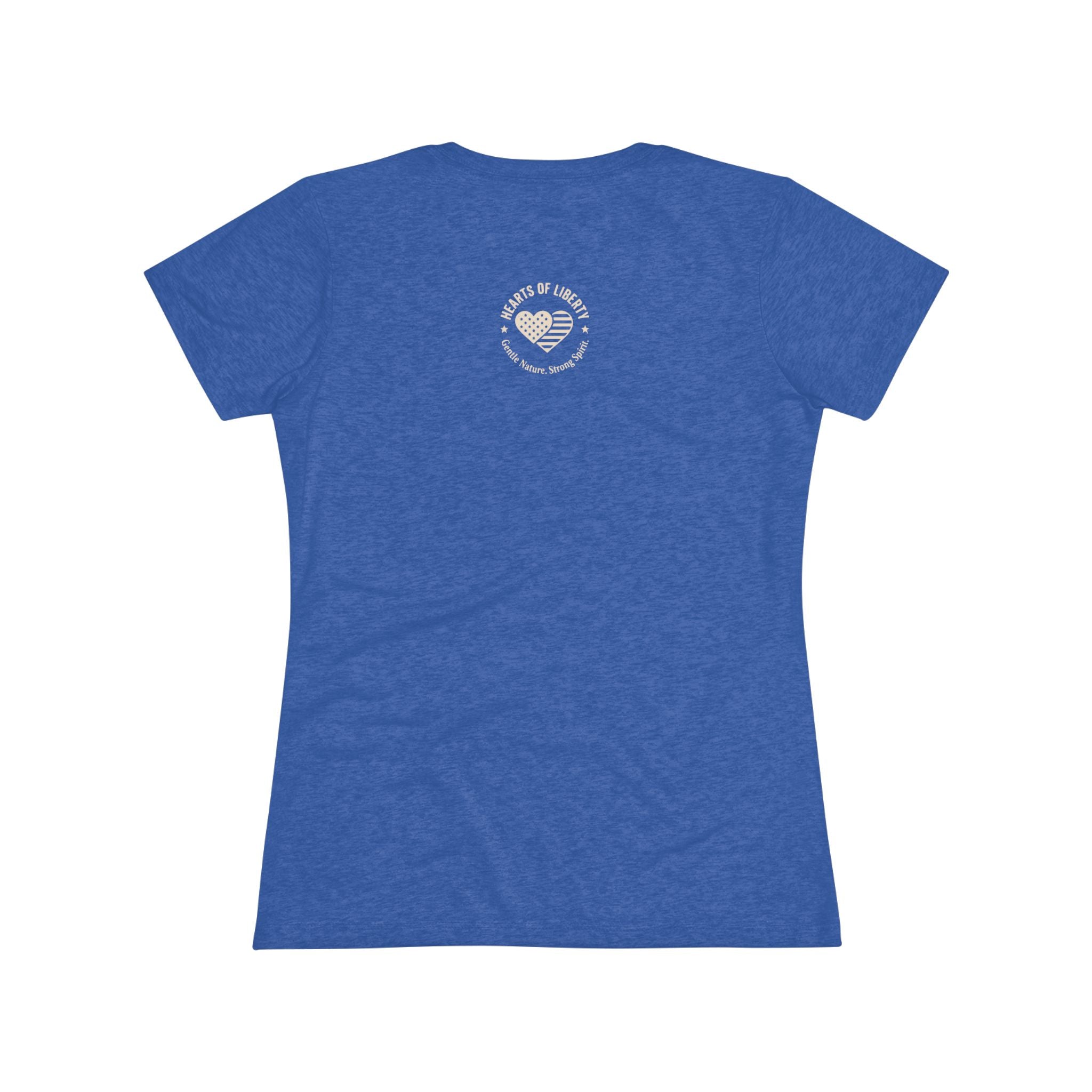 Little Hands Big American Dreams- Women's Triblend T-Shirt